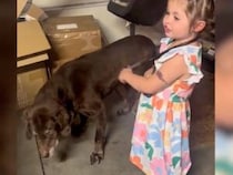 愛犬を本気で診察する小さな獣医さん、最後の診断結果が可愛すぎた