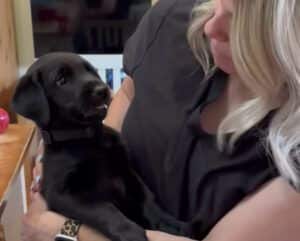 キスに怒っていた子犬、しつこくされて諦めモードに