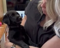キスに怒っていた子犬、しつこくされて諦めモードに
