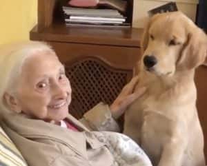 100歳のおばあちゃんが子犬と初対面！ その笑顔がなんとも素敵だった