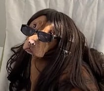 すごく似合っているよ♪ 黒髪ロングの犬さん。