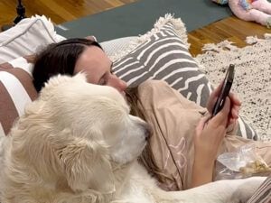 ゲームを特等席で応援!愛犬とゲームを楽しむ、まったりした週末