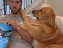 ひとりでオヤツ食べたりしないよねぇ？ 愛犬の圧がすごい