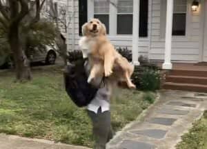 愛犬が何歳になっても… 変わらない愛情にほっこり♡