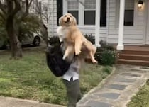 愛犬が何歳になっても… 変わらない愛情にほっこり♡