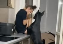 「どうしたの？悲しいの？」泣いている飼い主を慰める犬