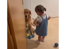 「こらぁ〜！」女の子に怒られてしょんぼりな犬さん