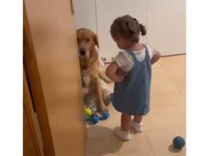 「こらぁ〜!」女の子に怒られてしょんぼりな犬さん