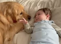 子犬があっという間に大きく！ 愛犬と家族の思い出映像が素敵♡