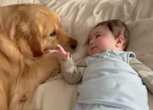 子犬があっという間に大きく！ 愛犬と家族の思い出映像が素敵♡