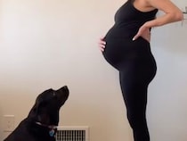 妊娠中からママに寄り添い続けた黒ラブさん、赤ちゃんとの対面がじーんときた