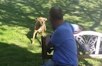 犬「ほ、本物のご主人様？」入院していた飼い主との再会が信じられなくて…