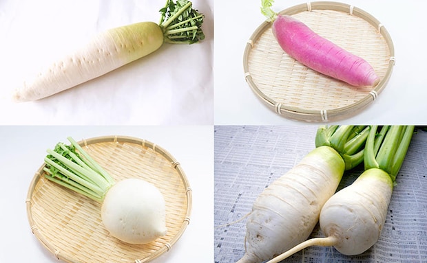 スーパーの「大根」どれ選ぶのが正解？青首、赤大根、辛味…特徴を知ればお料理がもっと美味しくなる【大根図鑑10選】