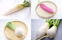 スーパーの「大根」どれ選ぶのが正解？青首、赤大根、辛味…特徴を知ればお料理がもっと美味しくなる【大根図鑑10選】