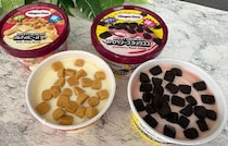 【ハーゲンダッツ】新作“ザク硬”食感がたまらない！「ROCKY CRUNCHY!」3月10日から期間限定で2種登場！