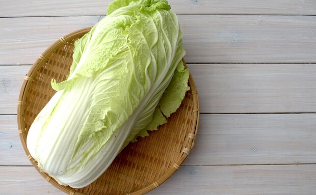 【白菜】節約レシピ15選！今年は白菜が安い？！主菜・副菜に大活躍！丸ごと買っても大丈夫♪
