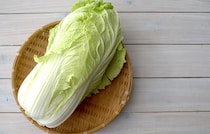 【白菜】節約レシピ15選！今年は白菜が安い？！主菜・副菜に大活躍！丸ごと買っても大丈夫♪
