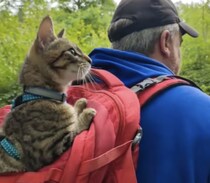 猫と一緒にハイキング♪ こんな休日の過ごし方って素敵！