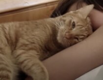 「起きる？一緒に二度寝する？」 朝からむにゃむにゃ甘えん坊な猫