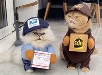 「置き配でいいですか〜？」可愛い猫の配達員さん。