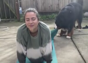 ヨガどころじゃない(笑) 全力で邪魔するワンコが可愛い。