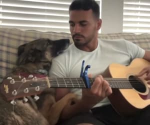 まるで恋人同士♡ 飼い主の演奏にうっとりする愛犬。