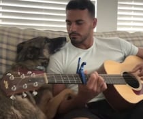 まるで恋人同士♡ 飼い主の演奏にうっとりする愛犬。