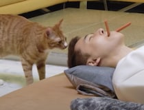 もしも飼い主がオヤツを噛んだまま寝ていたら、犬と猫はどんな反応をする？