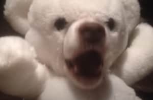 えっ、動いた？ このテディベア、何かがおかしいぞ