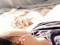 世界一かわいい目覚まし時計！ 猫のふみふみ、スリスリ、起こし方が最高だった