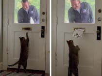 今日も来たにゃ！ 猫さん、毎日の郵便配達が楽しみに♡