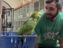 おしゃべり、上手すぎ！ 元気よく挨拶してくれるオウムさんに、男性もにっこり♡