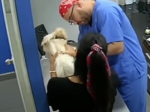 「やめるニャー!!」 動物病院で治療を受ける犬を助けようと猫が…