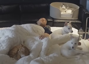 犬猫と一緒におやすみタイム♡ 憧れるけど、実はとっても大変？