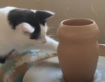 飼い主さんのアシスタントは猫！ 一緒に陶芸作品を作るにゃ！