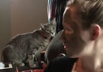 猫「にゃ？ お前は誰ニャ！？」泥パックをしている飼い主さんを見てこの表情！