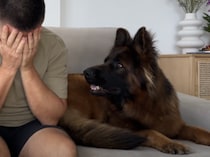 泣いている飼い主を見た犬さんの反応が、予想外すぎて涙も止まっちゃった♡