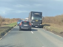 事故でも工事でもなく…… 道路を歩くあの子のせいで大渋滞！？