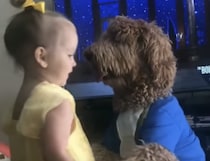 リアル美女と野獣だ♡ 可愛いお姫様と王子様、ワンコ！