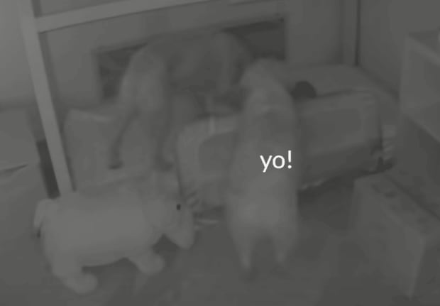 一体どうやって？赤ちゃんが早朝に部屋を抜け出している理由にびっくり！