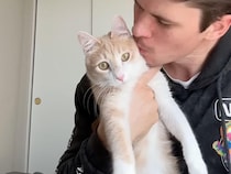 猫さんがとびきり甘えん坊に育った理由が、動画を見ればすぐわかった♡