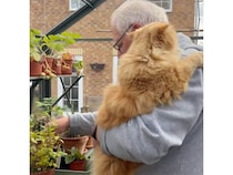 ふたりの共通の趣味♡ ガーデニング中のお父さんにぴったりくっつく猫さん