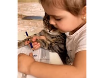 猫さんと一緒にお絵描き！ 楽しんで…いる？