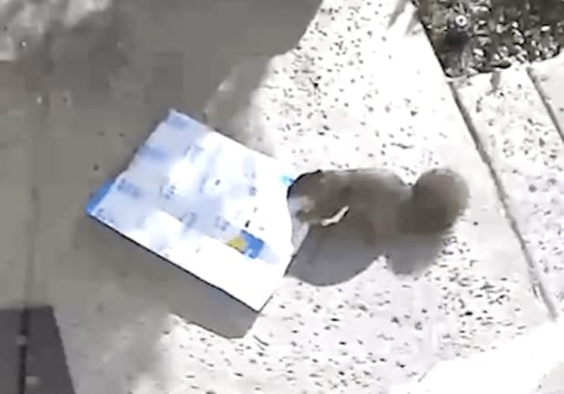「置き配」を頼んだら盗まれた！ 防犯カメラに映っていたのは…