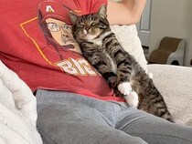 温かい朝食が冷めてしまうのに、飼い主さんが動こうとしない理由が尊すぎた