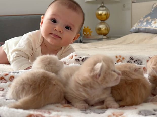 子猫さんと赤ちゃんの「はじめまして」、お互いの反応が可愛かった♡