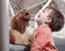 子犬と一緒にせーのっ、で歌うよ！ 赤ちゃんも犬さんも可愛すぎる