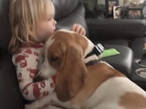 「よしよし、良い子ね〜」大きな愛犬をナデナデする女の子。関係性にほっこり♡