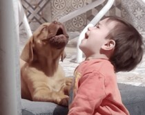 子犬と一緒にせーのっ、で歌うよ！ 赤ちゃんも犬さんも可愛すぎる
