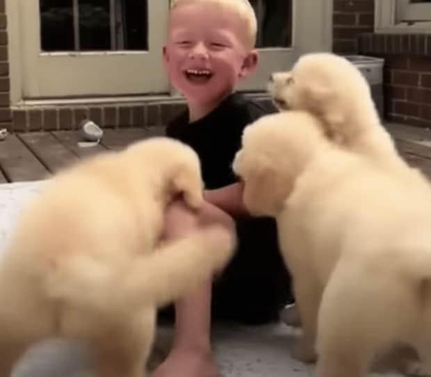 子犬に囲まれて幸せそうな男の子♡ 犬好きにはたまらないね！